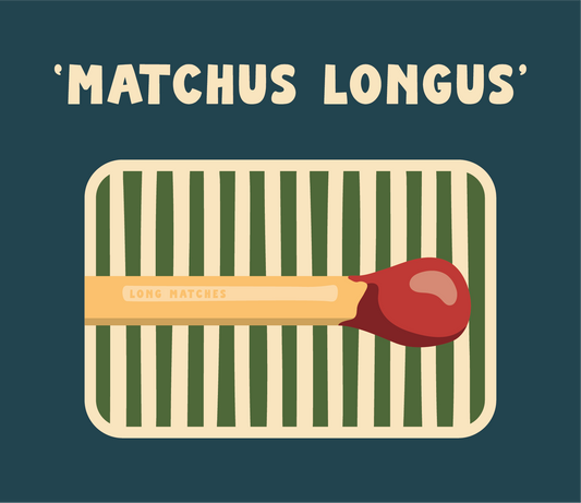 PRE-ORDER TINIT's 'Matchus Longus' Match Tins